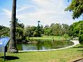 A 059 Sydney - Le Jardin botanique